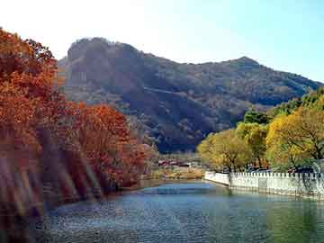 新澳天天开奖资料大全旅游团，松香价格